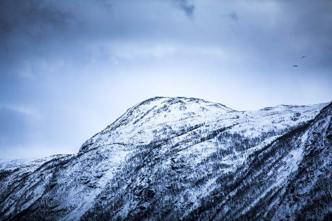 Snow on mountain under clouds — Foto stock