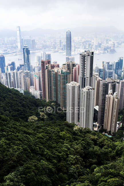 Ліс і хмарочоси в Гонконзі — стокове фото