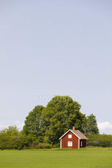 Red farmhouse by trees at countryside — Fotografia de Stock
