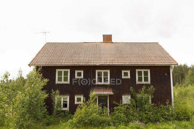 Vecchia casa in legno dietro gli alberi — Foto stock