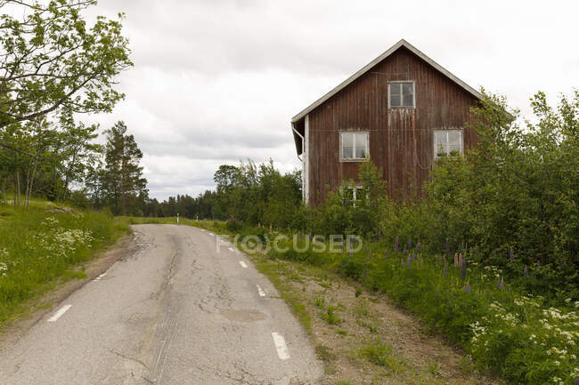 Casa de madera envejecida por carretera rural - foto de stock