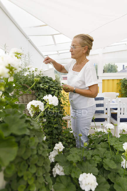 Mujer mayor regando flores blancas - foto de stock