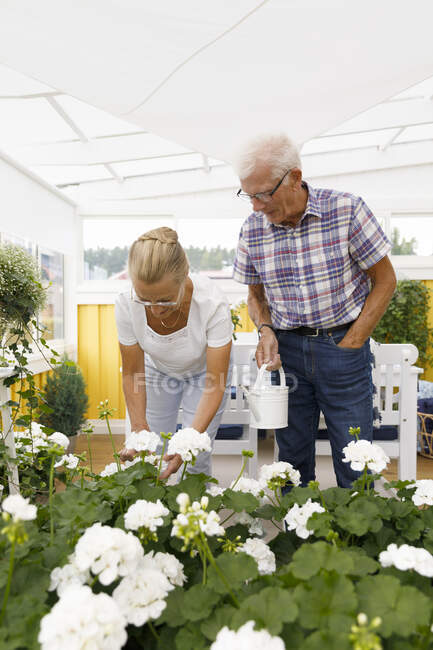 Jardinagem de casal sênior com plantas brancas — Fotografia de Stock