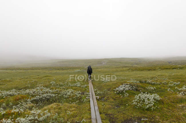 Woman walking on boardwalk during hike — Foto stock