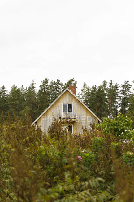 Weathered house in the forest - foto de stock