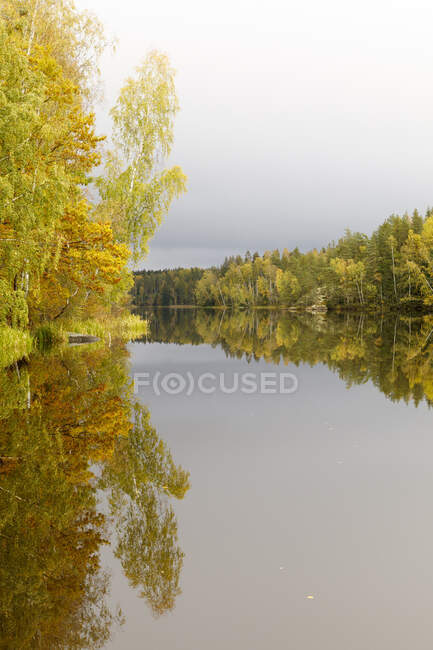 Arbres d'automne au bord d'un lac réfléchissant — Photo de stock