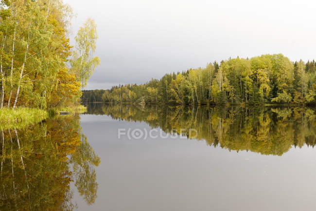 Осенние деревья у зеркального озера — стоковое фото