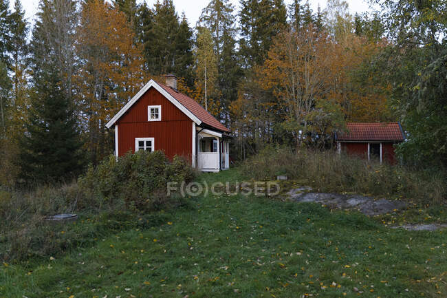 Red cabin in the forest — Foto stock