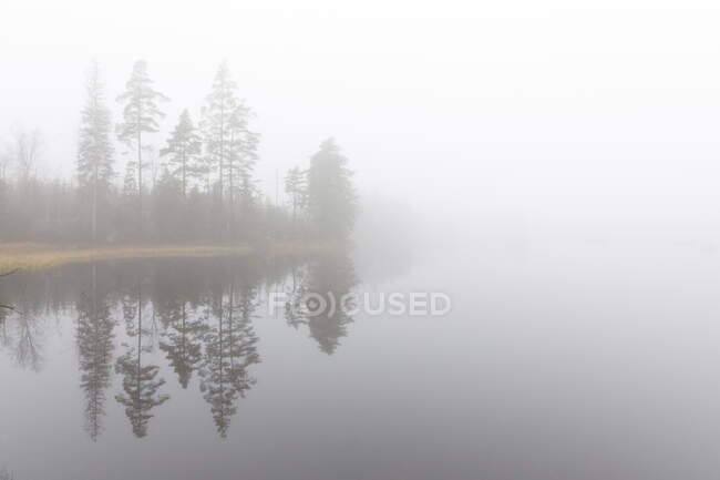 Lago Stora Skiren en Suecia - foto de stock