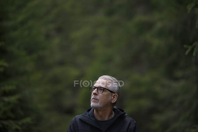 Man in forest portrait — Stock Photo