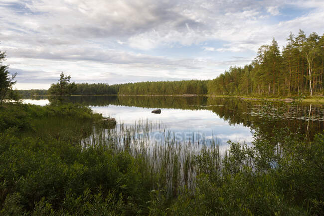Stora Skiren lake in Sweden — Photo de stock