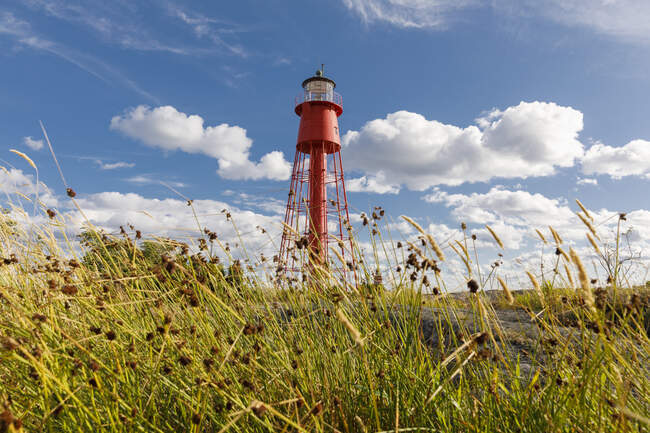 Scenic view of Lighthouse above field - foto de stock