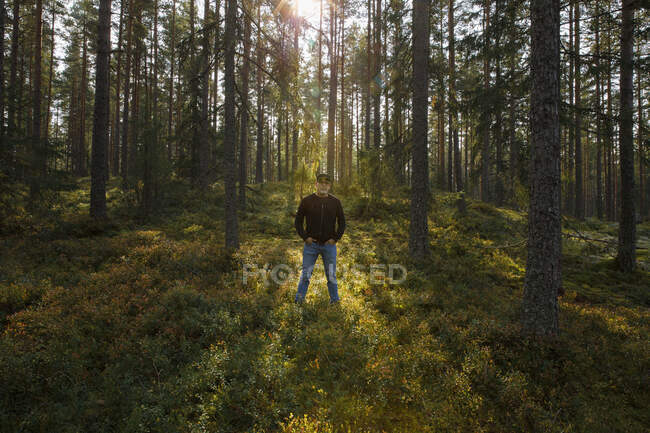 Man in forest in summer - foto de stock
