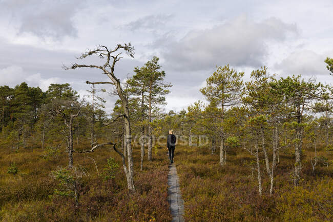 Жінка йде по лісу. — стокове фото