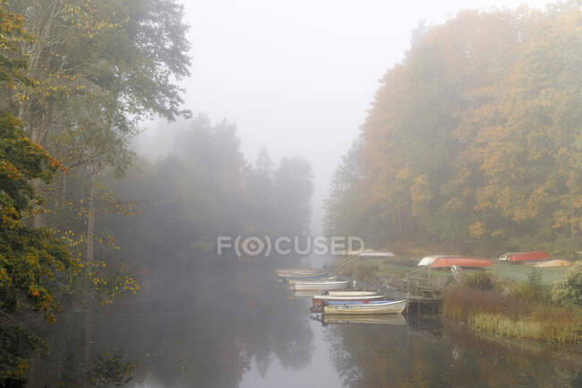 Stora Skiren lago sotto nebbia in Svezia — Foto stock