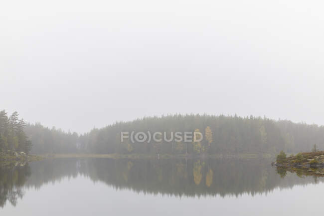 Stora Skiren lago sotto nebbia in Svezia — Foto stock