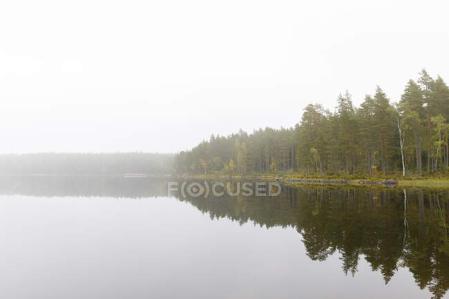 Stora Skiren lac sous le brouillard en Suède — Photo de stock