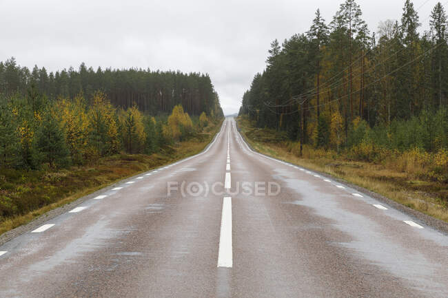 Rural road by autumn forest - foto de stock