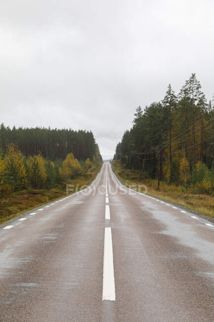 Route rurale par forêt d'automne — Photo de stock