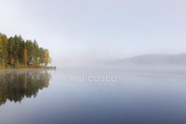 Bosco autunnale in riva al lago nella nebbia — Foto stock
