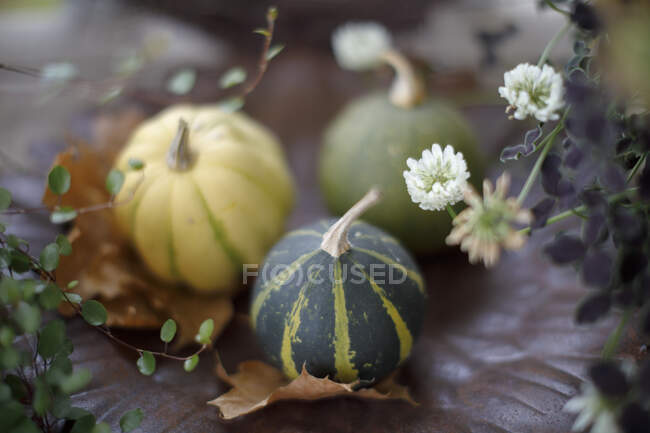 Pumpkins, flowers and leaves — Stock Photo