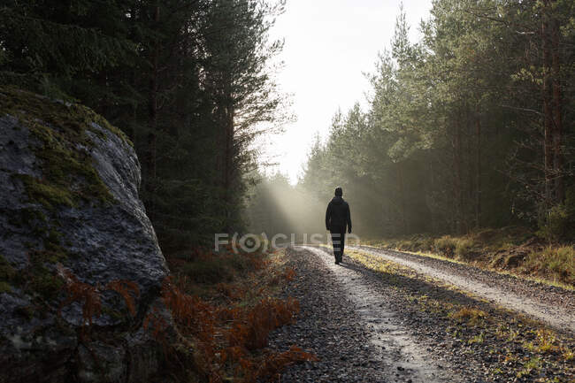 Woman walking on rural road — Stock Photo