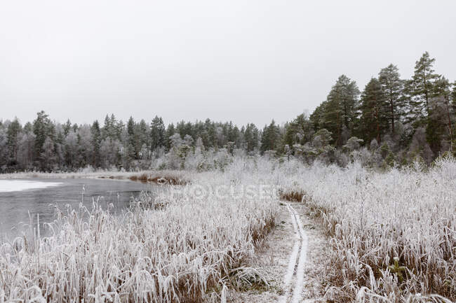 Wanderweg im verschneiten Feld am See — Stockfoto