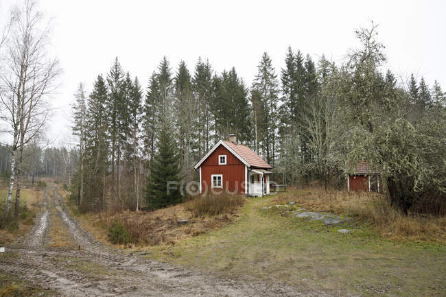 Красный дом в лесу по сельской дороге — стоковое фото