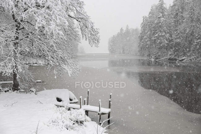 Pier by snowy forest and frozen lake — Foto stock