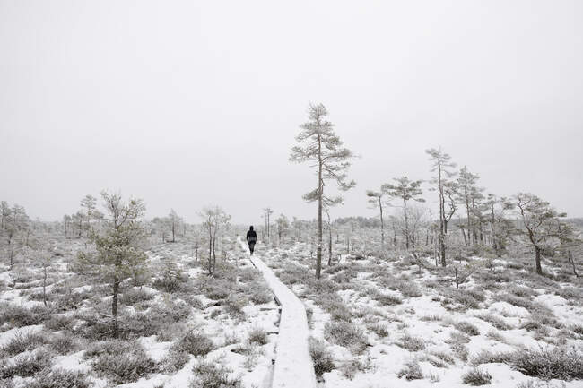 Woman walking on trail in snowy forest — Photo de stock