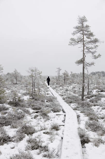 Woman walking on trail in snowy forest — Stock Photo