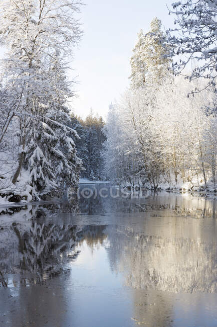 Stora Tron lago por floresta nevada em Borggard, Suécia — Fotografia de Stock