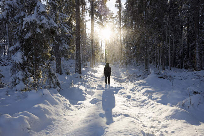 Mujer de pie en el bosque nevado - foto de stock