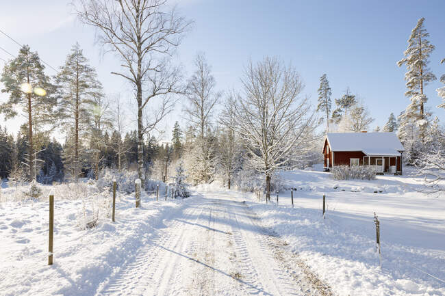 Cabin by rural road in snow — Fotografia de Stock