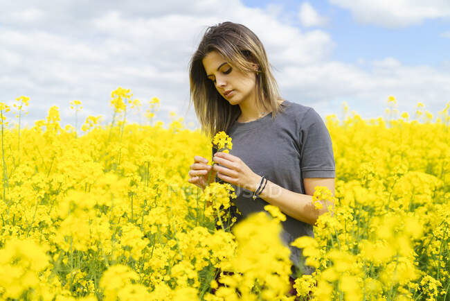 Молодая женщина в поле желтых цветов — стоковое фото