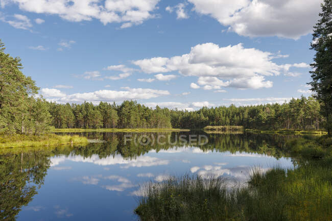 Forest and clouds reflected in lake — Fotografia de Stock