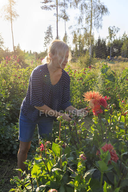 Femme mûre jardinage en été — Photo de stock