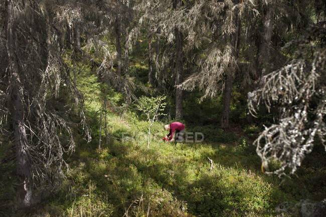 Femme en forêt en automne — Photo de stock
