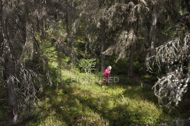 Woman in forest in autumn — Foto stock