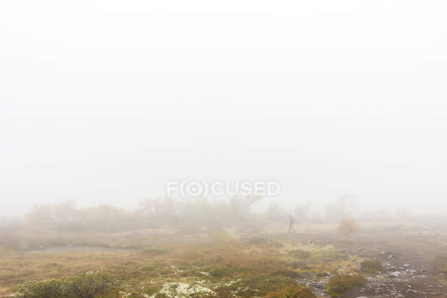 Woman hiking in fog — Stockfoto