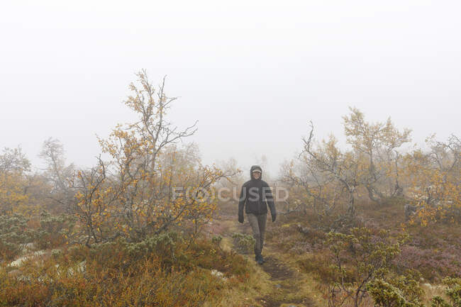 Woman hiking in fog — Stockfoto