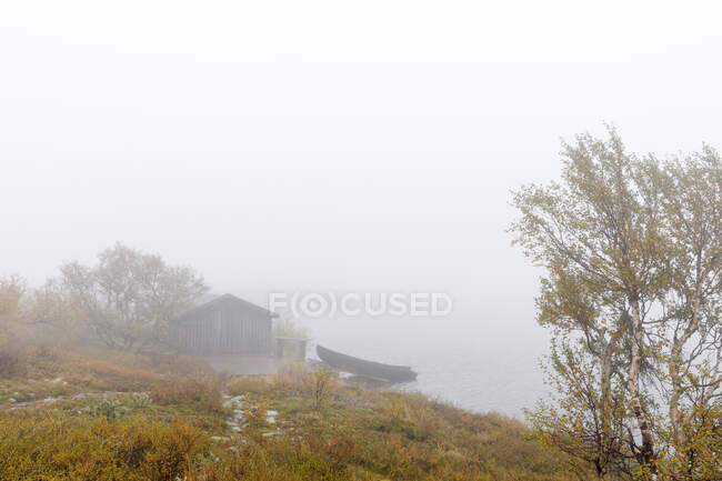 Barca e albero in riva al lago nella nebbia — Foto stock