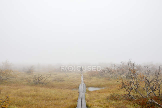 Woman hiking in fog — Stock Photo