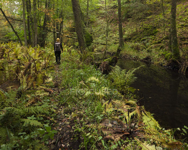 Woman hiking in forest by river in Kolva Hallar, Sweden — Stock Photo