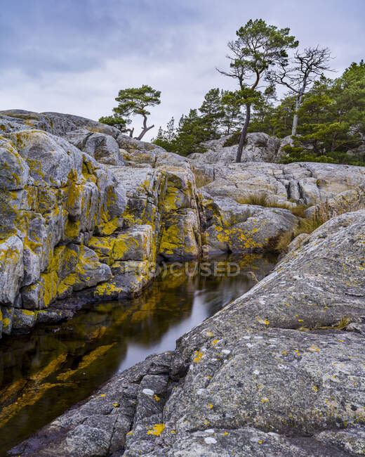 Scenic view of Rocks by stream — Fotografia de Stock
