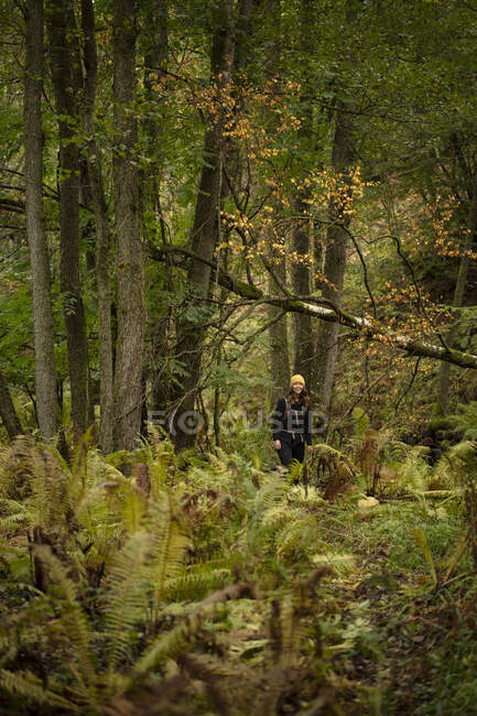 Frau wandert durch Wald in Kolva Hallar, Schweden — Stockfoto