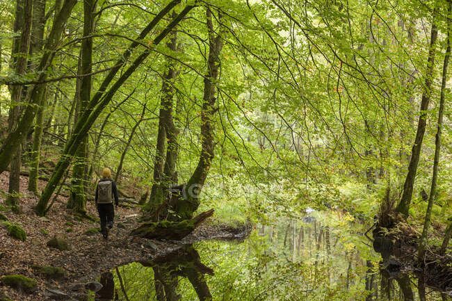 Woman hiking in forest by river in Kolva Hallar, Sweden — Stock Photo