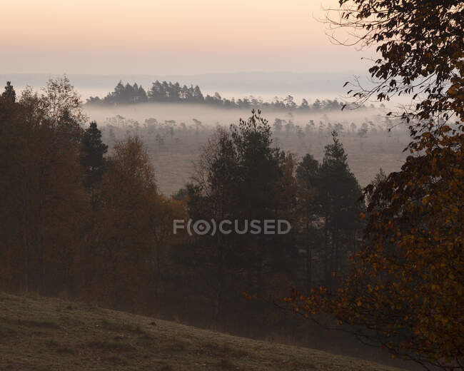 Autumn trees in fog in Store Mosse National Park, Sweden — Stockfoto