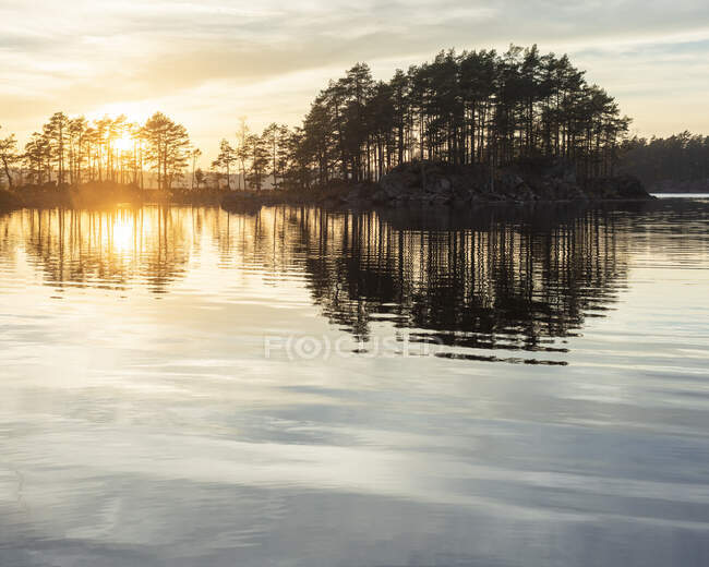 Деревья у озера на закате в Национальном парке Тиведен, Швеция — стоковое фото