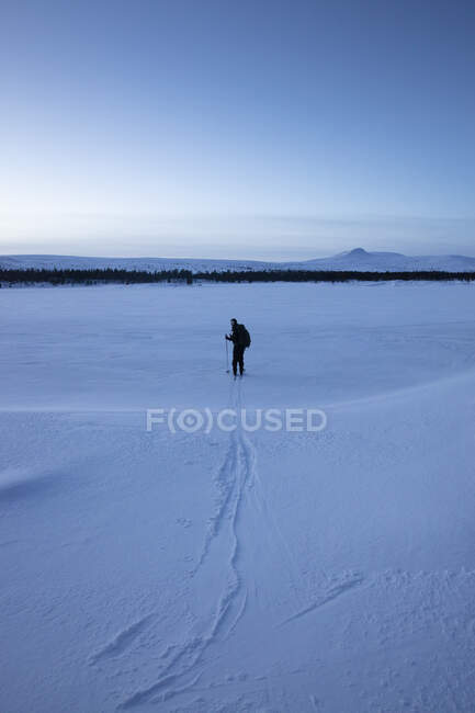 Mulher esqui cross-country ao pôr do sol na Reserva Natural Rogen, Suécia — Fotografia de Stock